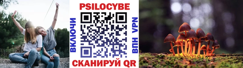 Галлюциногенные грибы Cubensis  Купить закладки  Новоалександровск 